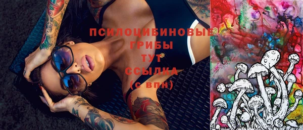 кокс Аркадак