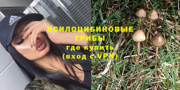 мет Арсеньев