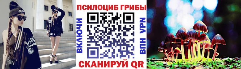 blacksprut ссылки наркошоп Ухта Галлюциногенные грибы Psilocybe